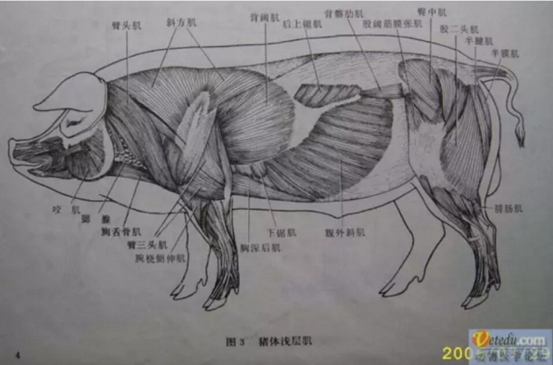 微信图片_20210317104820.jpg