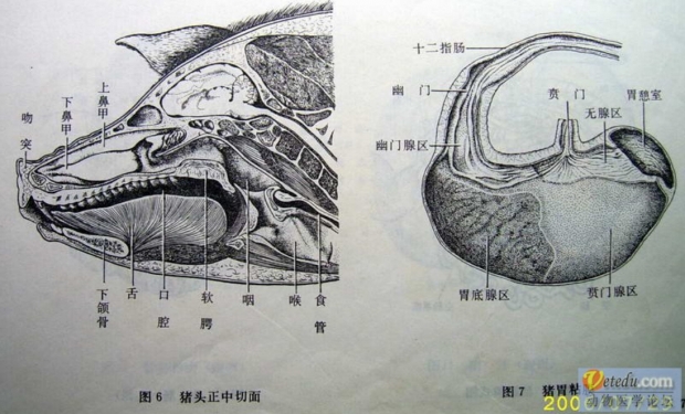 微信图片_20210317104937.jpg