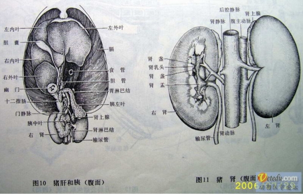 微信图片_20210317104948.jpg