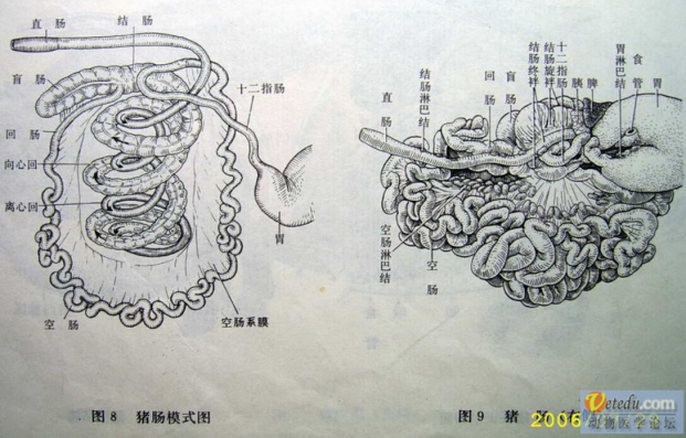 微信图片_20210317104945.jpg