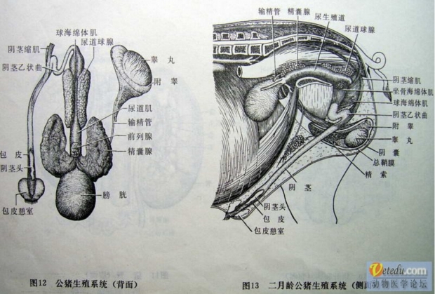 微信图片_20210317104939.jpg