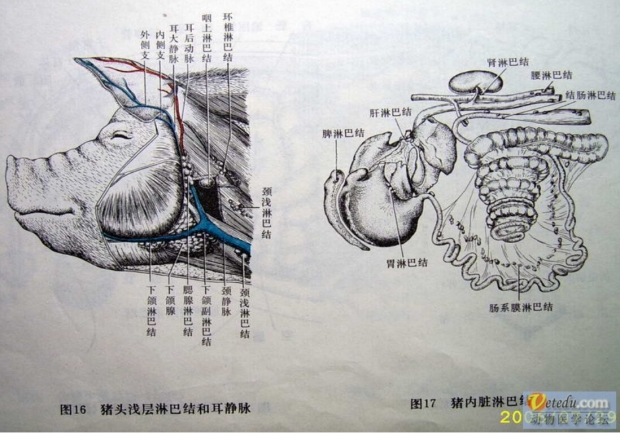 微信图片_20210317104934.jpg